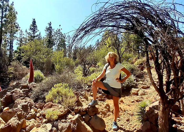 Exklusives Penthaus Am Mit Privatem Jacuzzi Bed & Breakfast Palm-mar