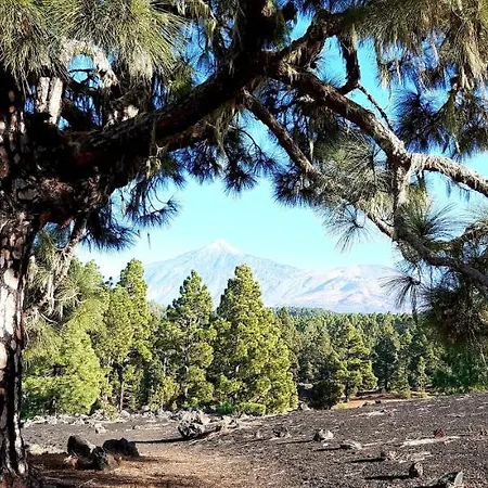Nocleg ze śniadaniem Exklusives Penthaus Am Mit Privatem Jacuzzi