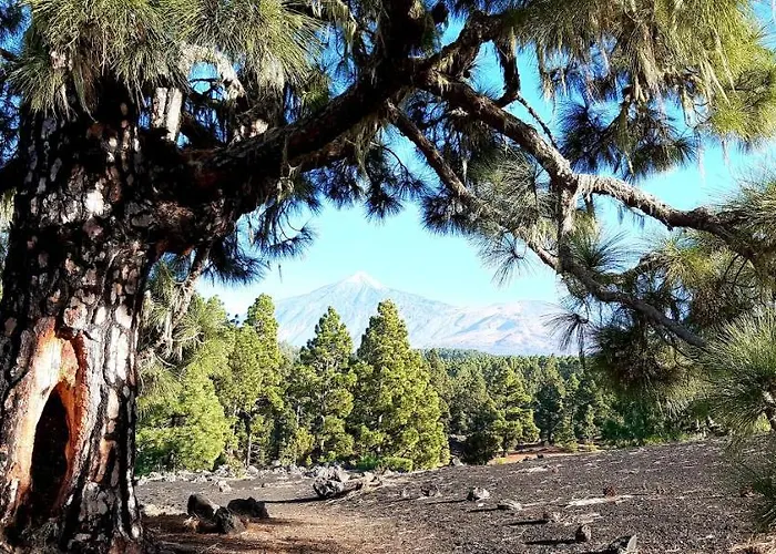 住宿加早餐酒店 Exklusives Penthaus Am Mit Privatem Jacuzzi