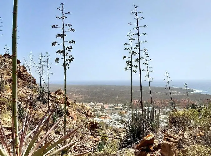 Exklusives Penthaus Am Mit Privatem Jacuzzi 4* パルム・マール